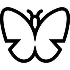 Butterfly outline top view