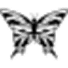 从顶视图的蝴蝶设计