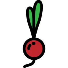 Radish