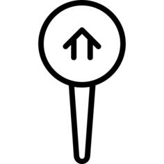 Pin