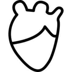 Heart