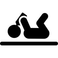 饲料
