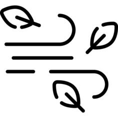 Wind