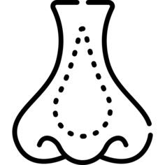 Nose