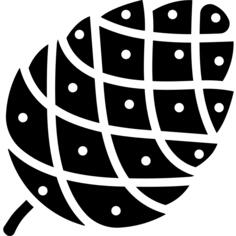 Pine cone