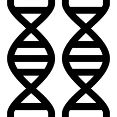 Genome