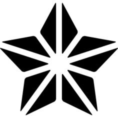 圣诞星