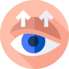 眼皮