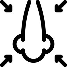 Nose