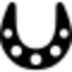 Lucky horseshoe