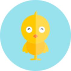 Chick