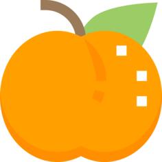 杏