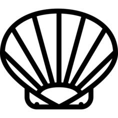 贝壳