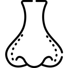 Nose