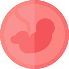 Pregnancy
