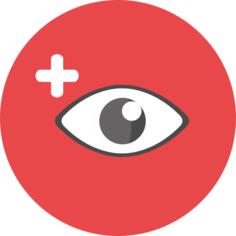 Eye