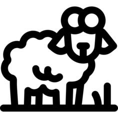 Lamb