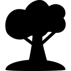 橡树