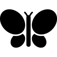 Butterfly top view