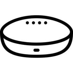 Google home