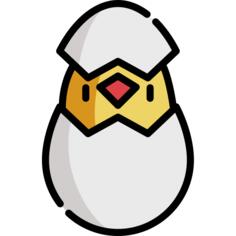小鸡