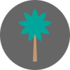 棕榈树