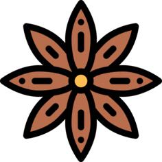 Anise