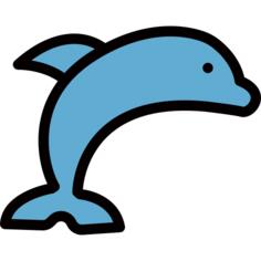 海豚