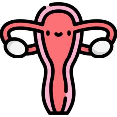 Fallopian tube