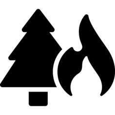 Fire risk