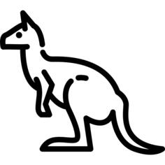 袋鼠
