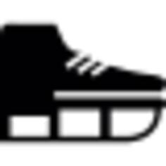 Ice skating shoes