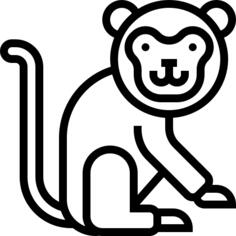 猴