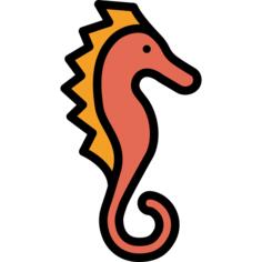 海马