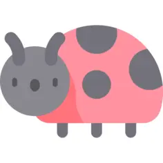 Ladybug