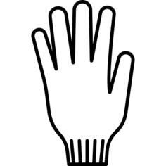 Left Glove