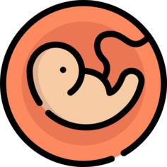 Pregnancy