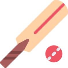 Cricket