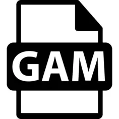 GAM文件格式
