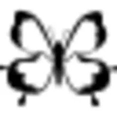 Butterfly top view design