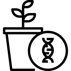 Gmo