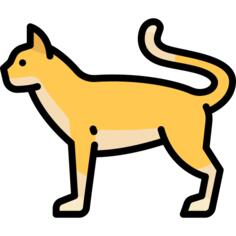猫