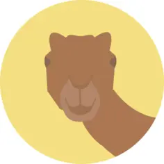 Camel