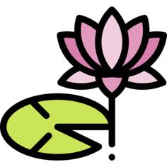 Water lily
