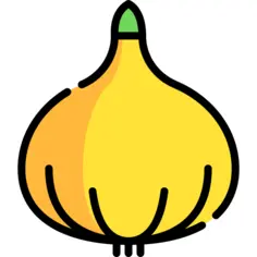 Onion
