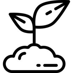 Sprout