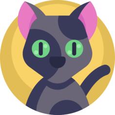 黑猫