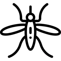 Mosquito