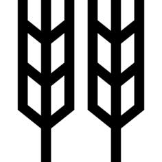 小麦