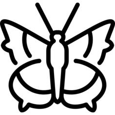 坎伯韦尔蝴蝶